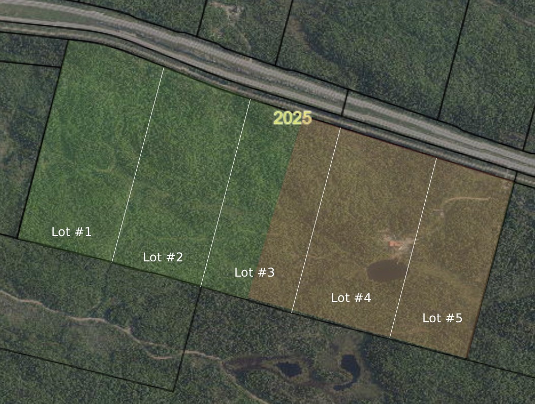 Carte aérienne — chalet, lots et zone boisée