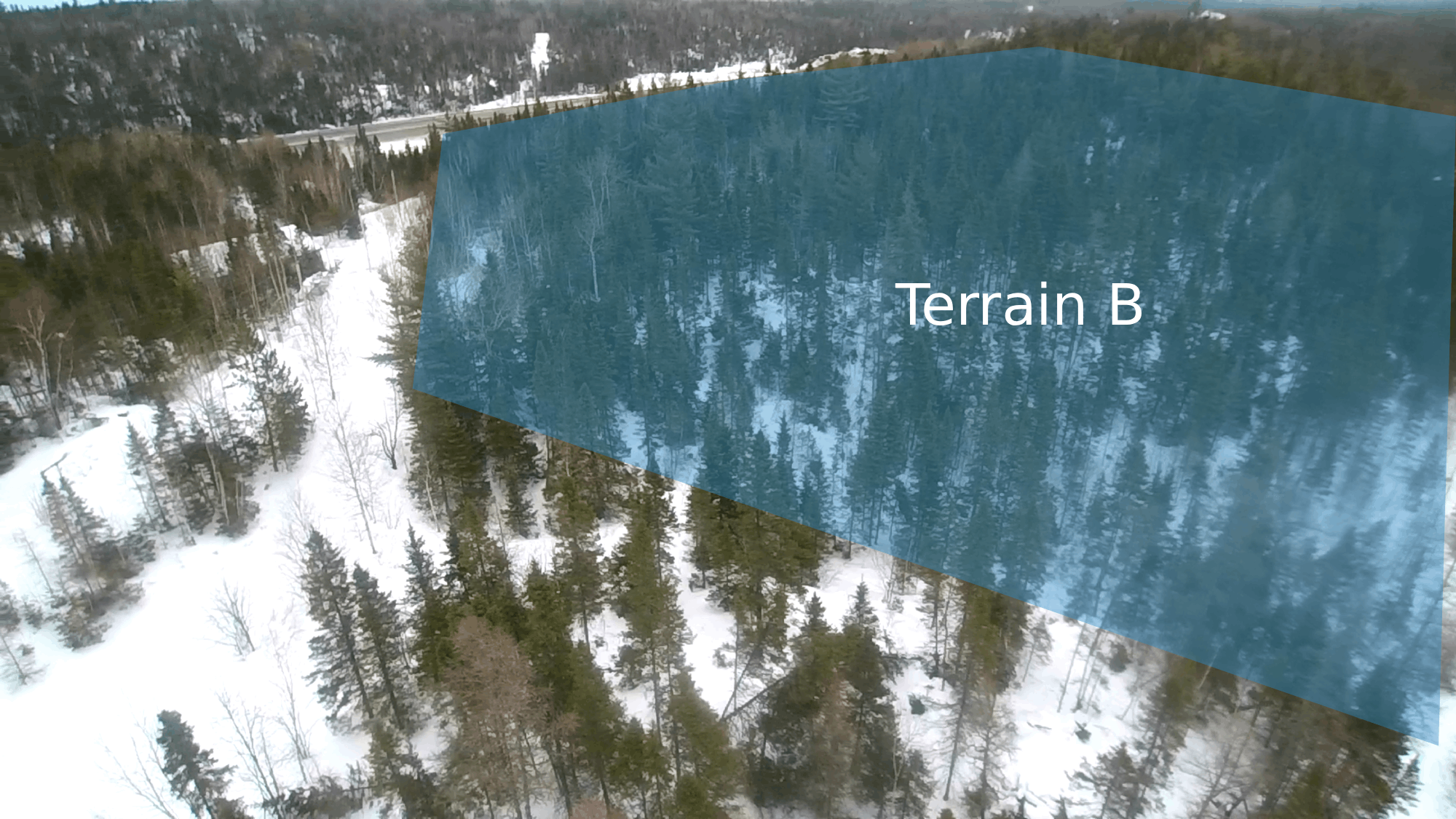 Terrain B — lot à bois